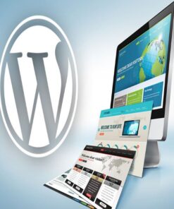 build-professional-wordpress-business-website-design